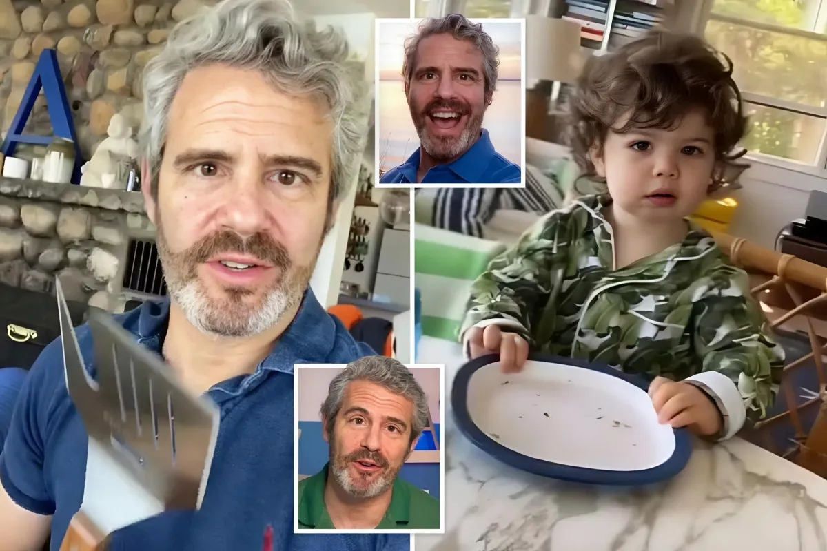 Andy Cohen Reveals the Splendor of His $6 Million Hamptons Retreat: A Peek into the Vibrant Home with Waterfront Views and Stunning Rock Fireplace - lulu