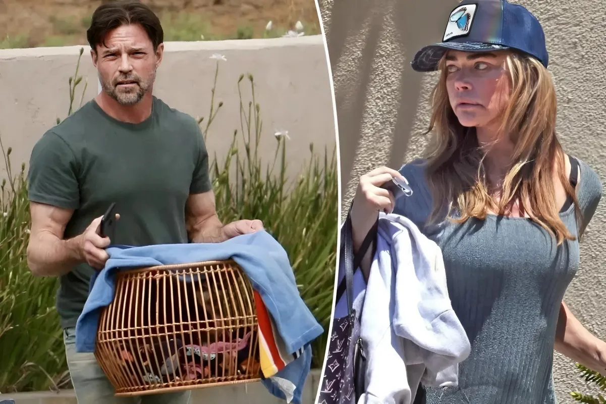 Aaron Phypers reacts strongly after Denise Richards accused him of putting his dog away without asking his permission! - lulu