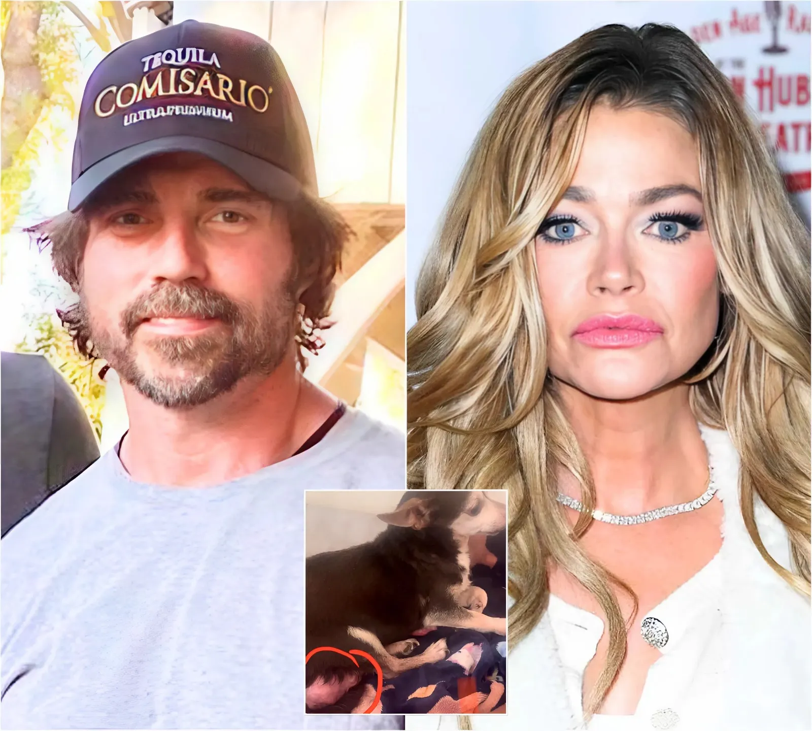 Denise Richards’ Ex Aaron Phypers Claims She “Hasn’t interacted” With Pets in 2 Years as Insider Explains Why One of Their Dogs Was Put Down