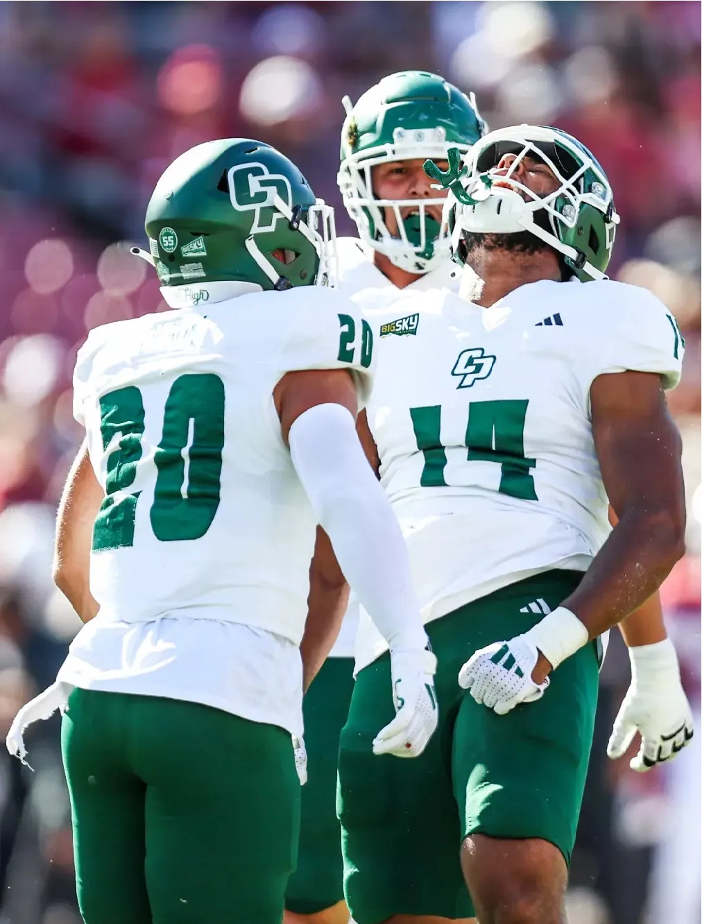 Inside Elijah Ponder’s transition from Cal Poly to New England Patriots camp