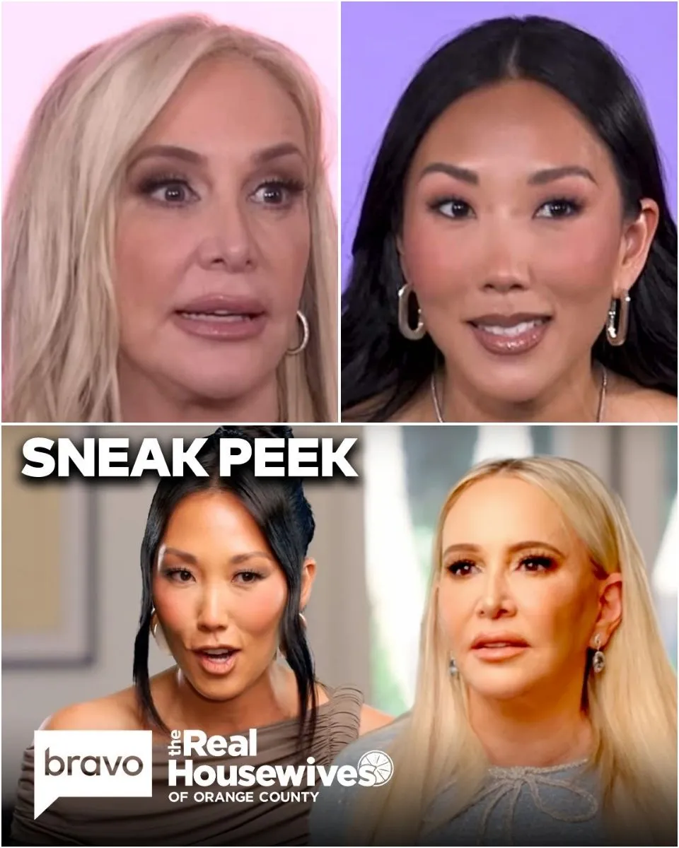 VIDEO: Shannon Beador Refuses to Dine With Katie After Recording as Gretchen Reveals What It Will Take to Reconcile With Tamra in RHOC Sneak Peek