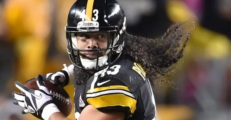 Pittsburgh Steelers President Art Rooney II Expresses Interest in Reuniting with Legend Troy Polamalu as Assistant Defensive Coordinator