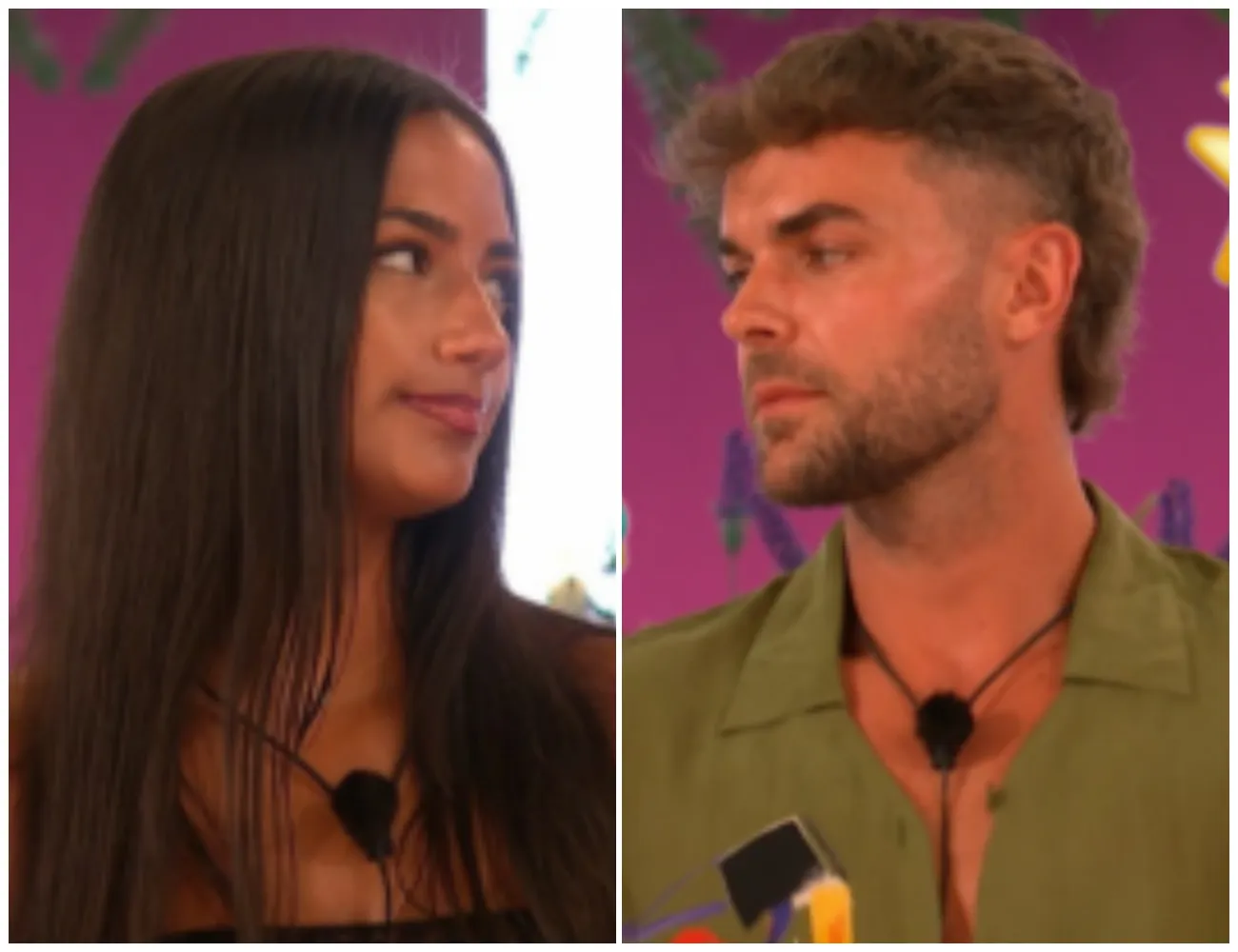 Forget the Islanders! Love Island 2025 fans say THESE were the real stars of the series — and they stole the show in ways no one saw coming - suong