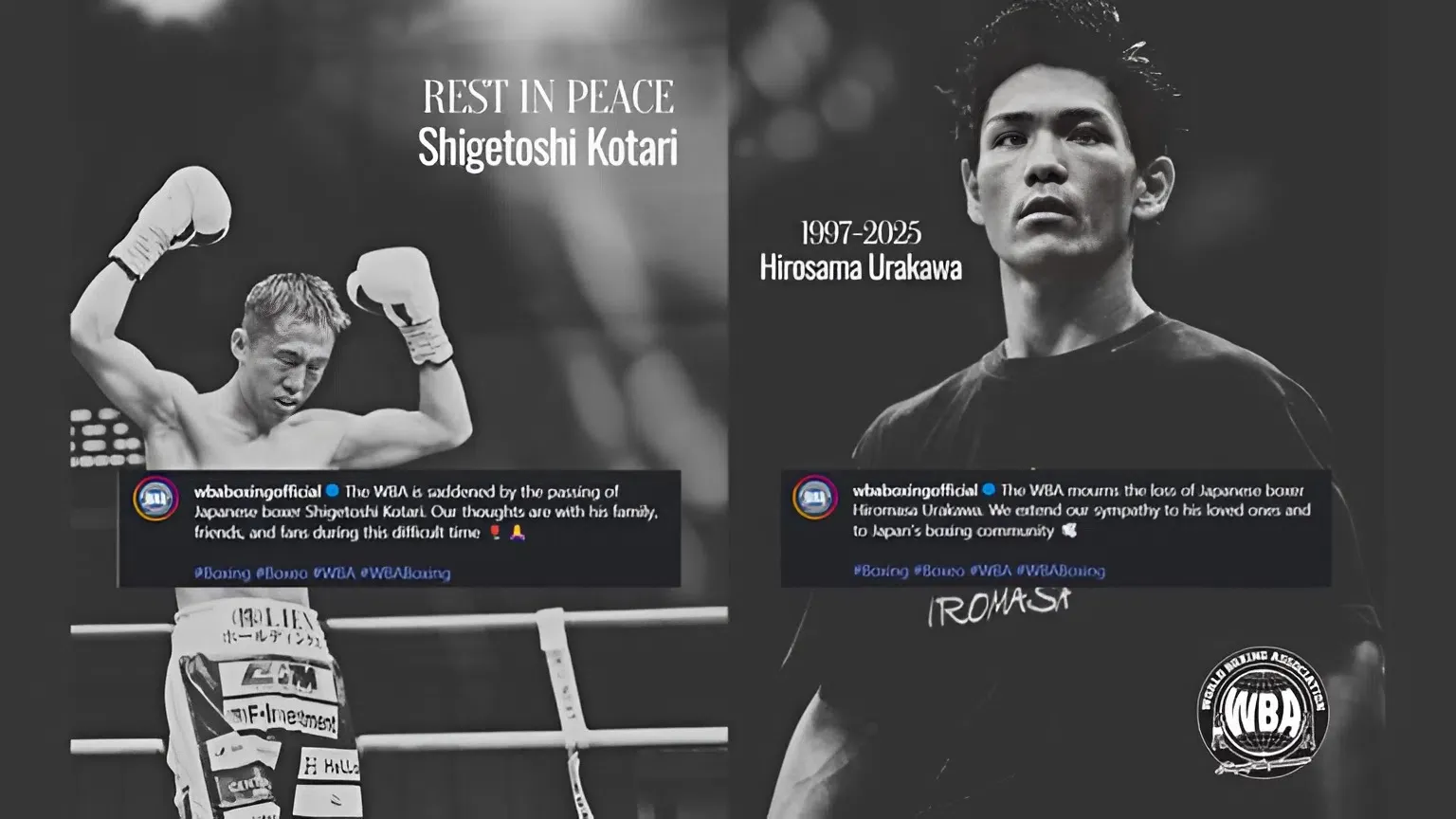 Japanese boxing rocked by double tragedy on Tokyo card trucc