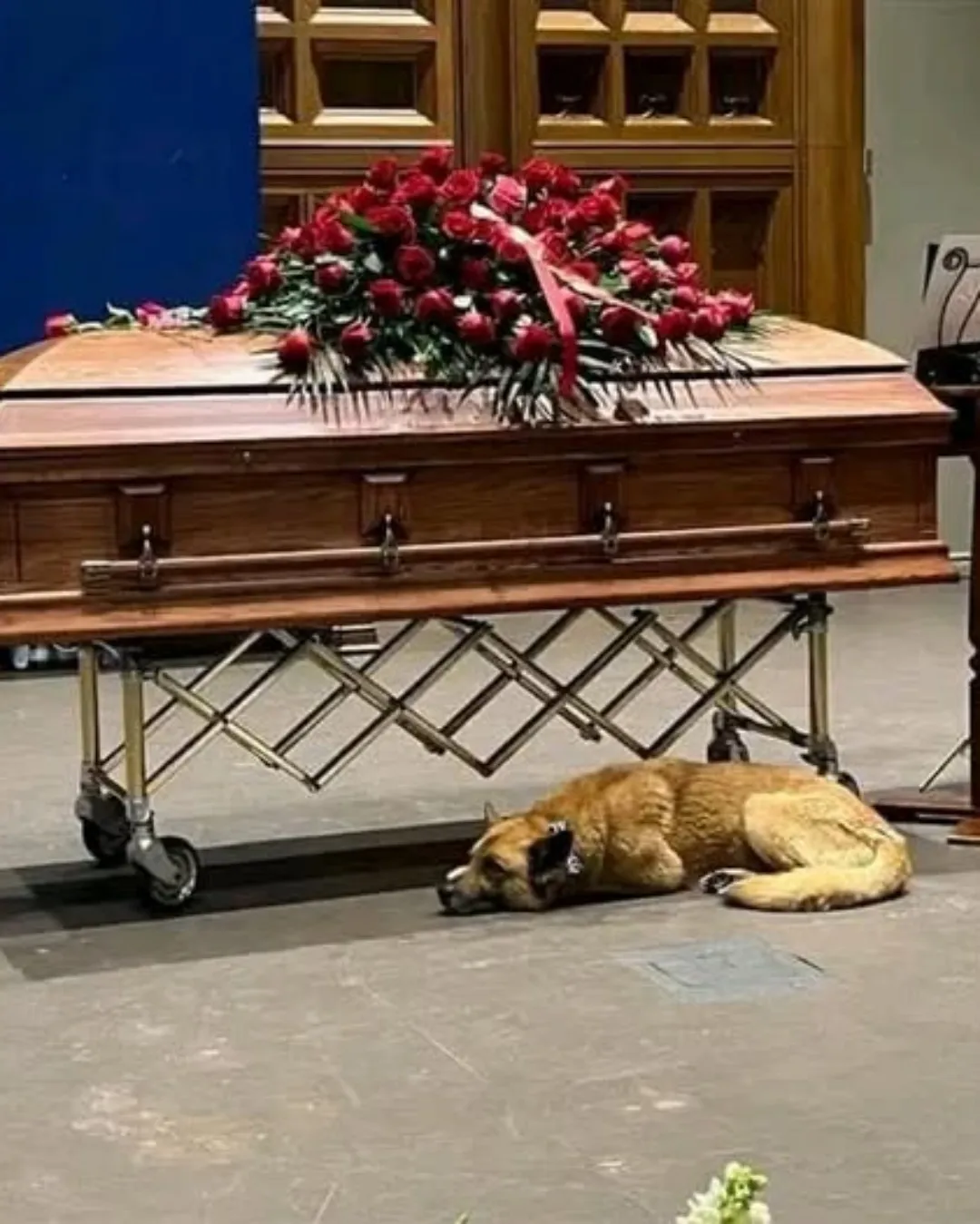 A Loyal Friend at His Final Goodbye618