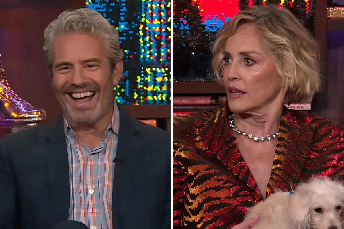 Sharon Stone Shares Intrusive Thoughts About Fellow Actresses She Competed Against For Movie Roles: “I Hope They Die” - lulu