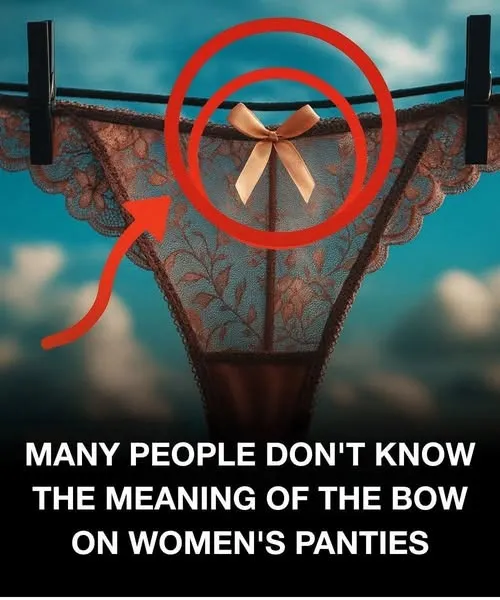 The Hidden Purpose of the Humble Bow on Women’s Underwear