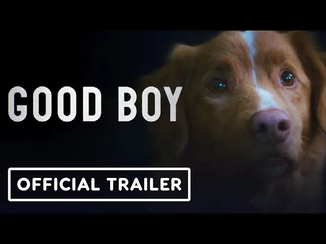 Good Boy! (2003) – A Cosmic Comedy About Friendship and Loyalty Good Boy! (2003) – A Cosmic Comedy About Friendship and Loyalty