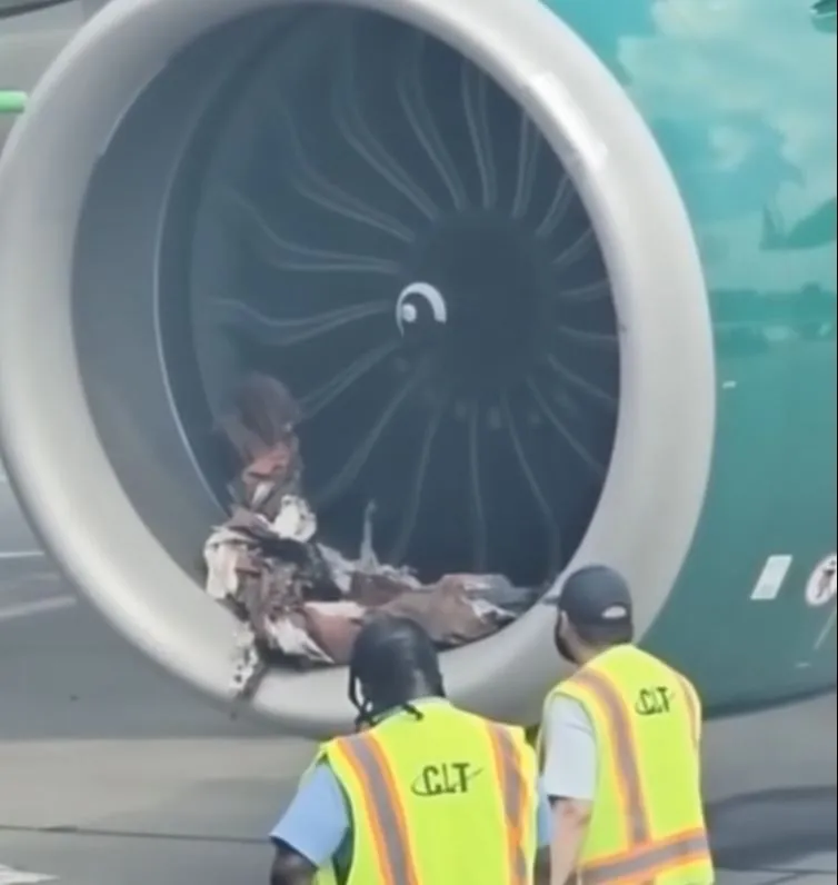 HORROR ON THE TARMAC: A Frontier plane’s engine shredded…Video in comments