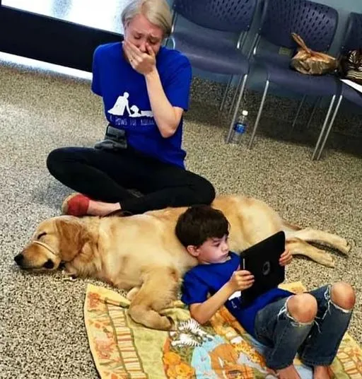 The Healing Power of Connection: A Mother’s Joy as Her Son with Autism Bonds with His Service Dog