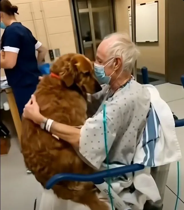 We didn’t think he would make it through the night: He kept asking for “Murphy…” — but no one knew who that was