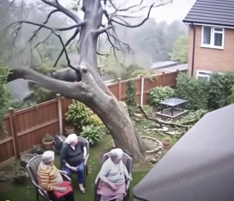 Reckless Chainsaw Crew Attempts Tree Removal — Huge Tree Topples onto Homes