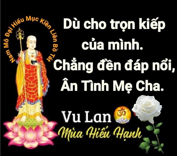 ☸️Mẹ Cha Là Nhất Trần Gian.