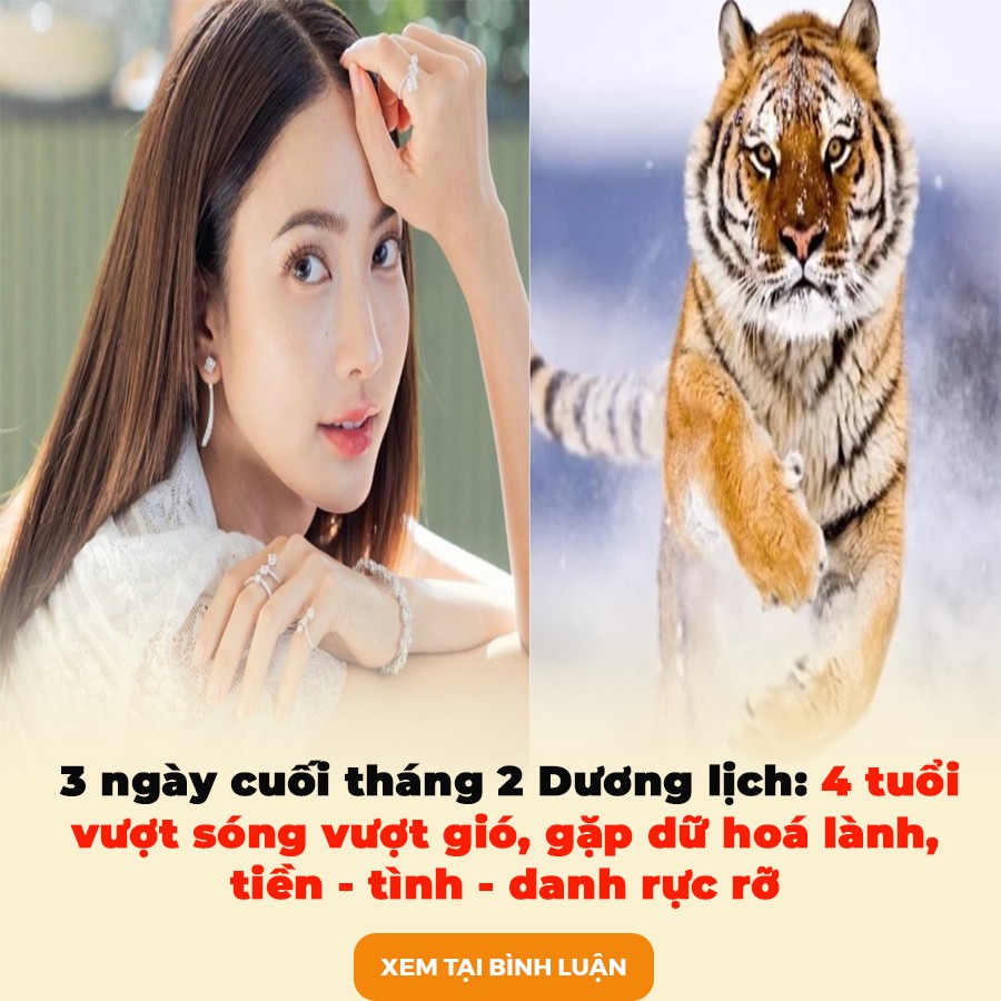 3 ngày cuối tháng 2 Dương lịch:4 tuổi vượt sóng vượt gió, gặp dữ hoá lành, tiền – tình – danh rực rỡ