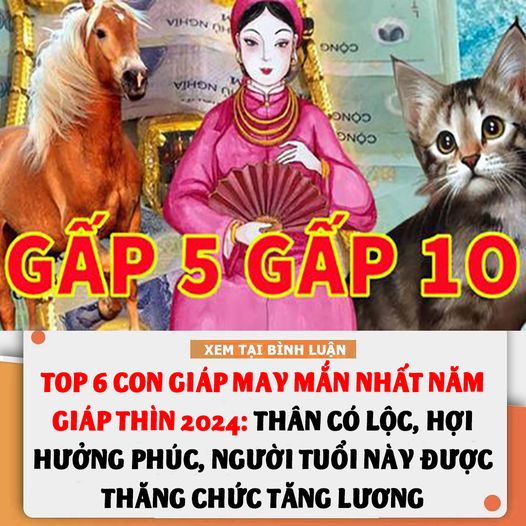 Top 6 con giáp may mắn nhất năm Giáp Thìn 2024: Thân có lộc, Hợi hưởng phúc, người tuổi này được thăng chức tăng lương