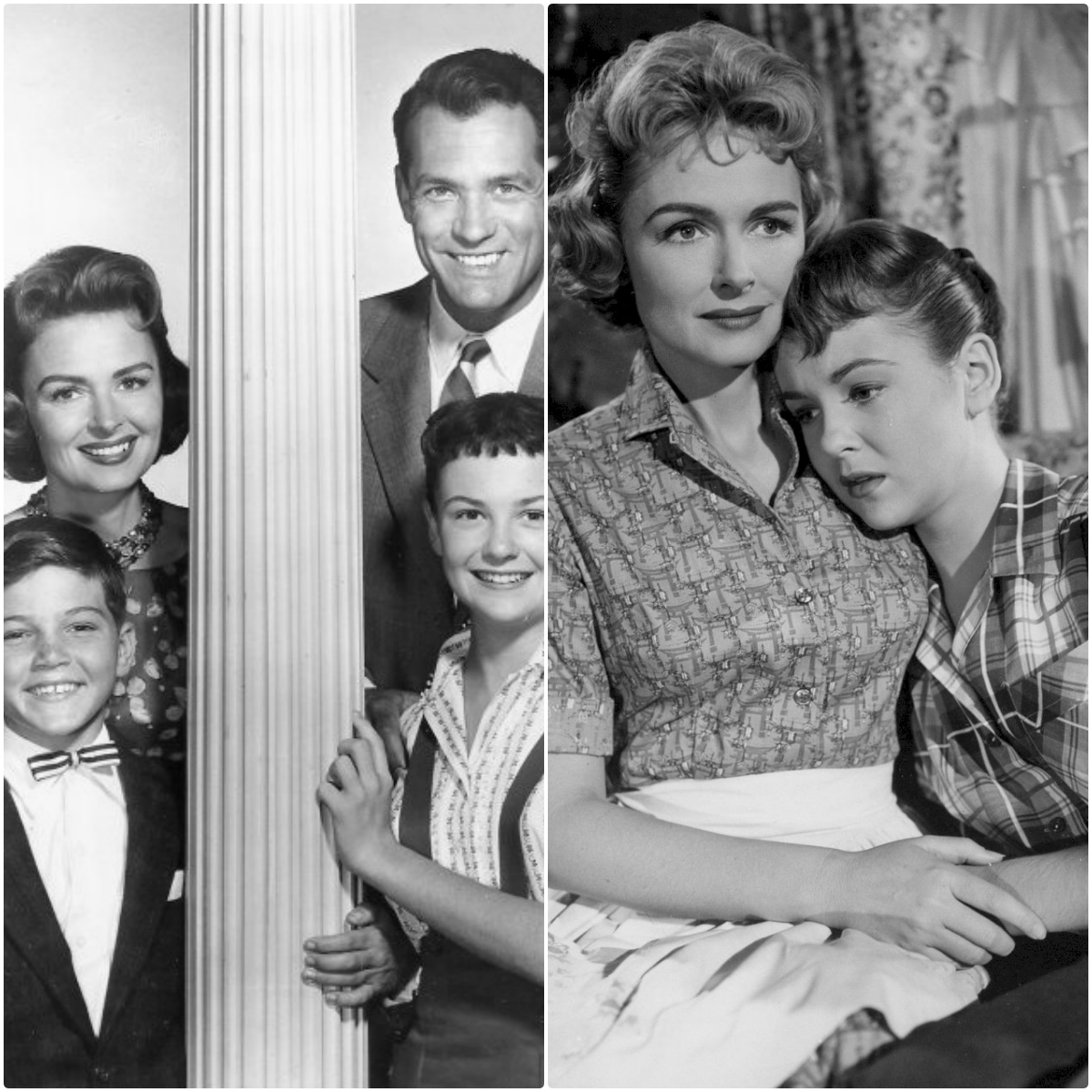 The Donna Reed Show: A Classic Family Sitcom and Timeless Portrayal of American Domestic Life