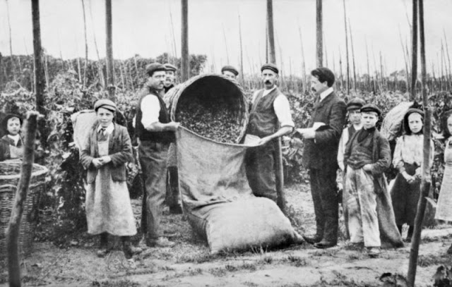 Fascinating Black and White Photos of Hops Picking in Kent