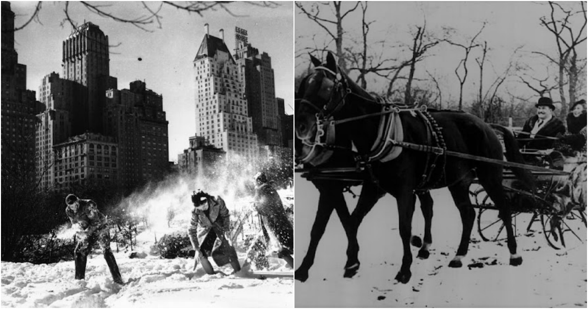 Fascinating Vintage Photos of People Having Fun in Snow-Covered Central Park