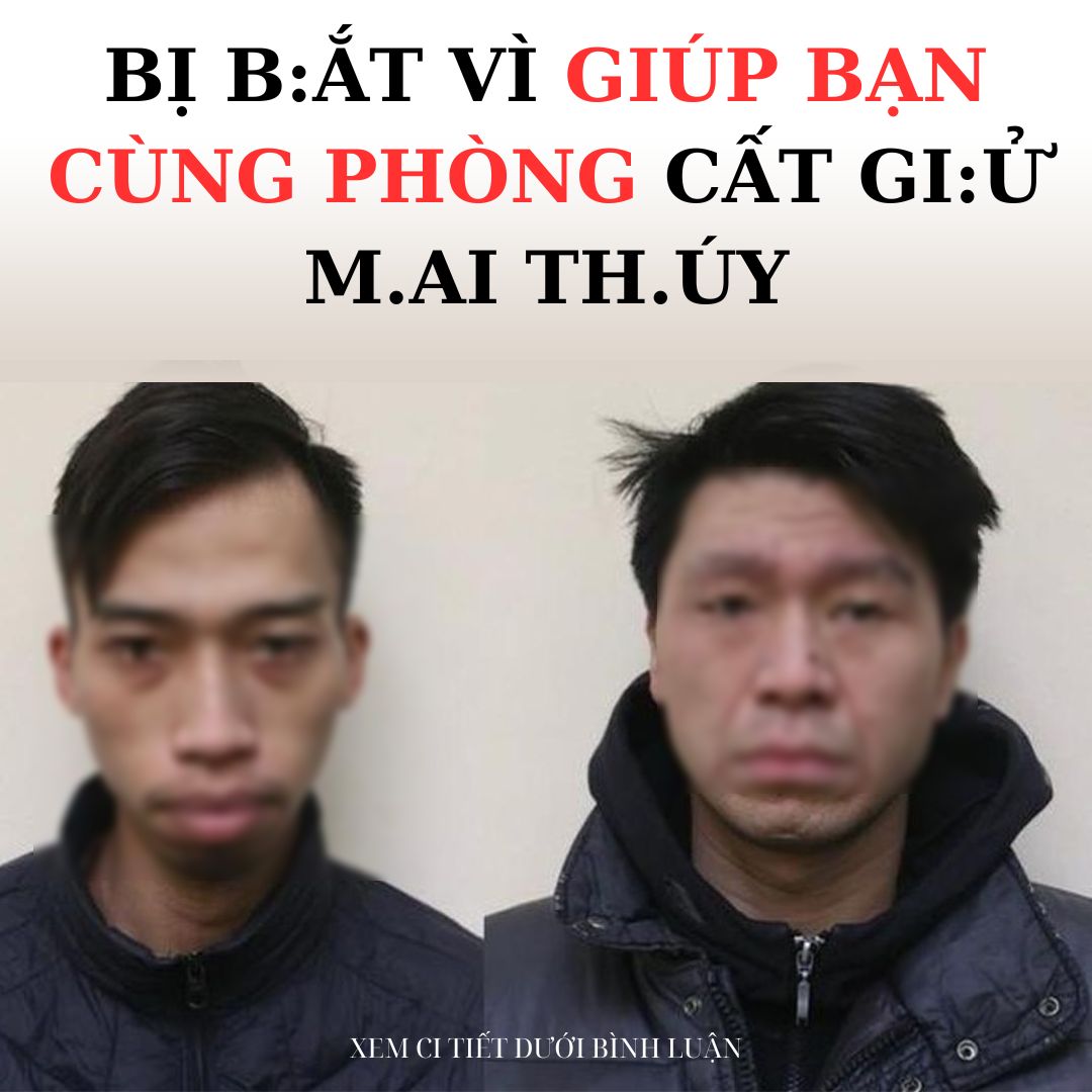 Bị bắt vì giúp bạn cùng phòng cất giấu m.ai thuý