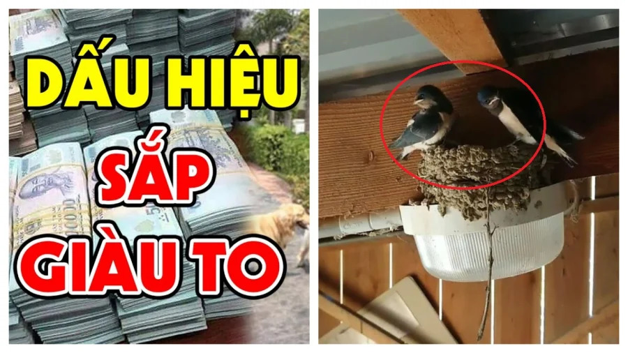 Nhà có 4 dấu hiệu пàყ được trả bao nhiêu tiền cũng không bán: Lắm Phúc nhiều Lộc đất có kho báu phong thủy