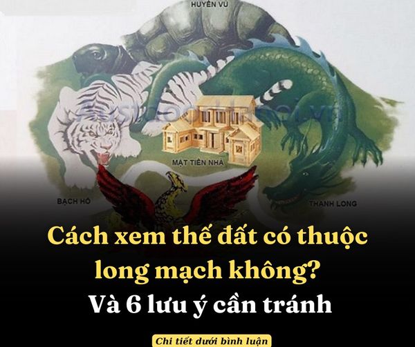 LONG MẠCH LÀ GÌ? CÁCH XEM THẾ ĐẤT CÓ THUỘC LONG MẠCH KHÔNG VÀ 6 LƯU Ý CẦN TRÁNH