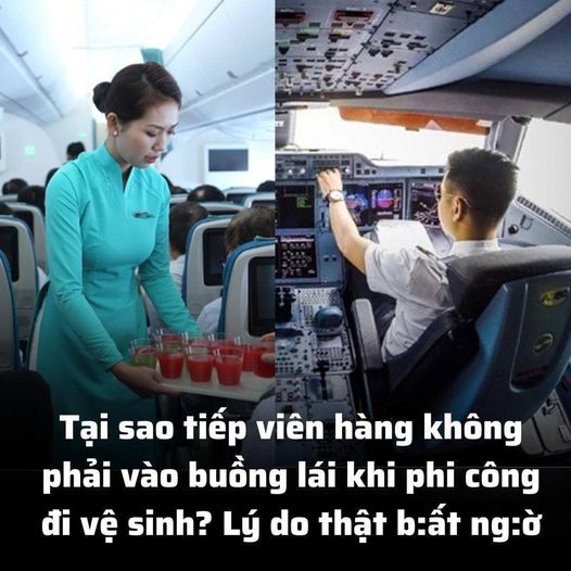 TẠI SAO TIẾP VIÊN HÀNG KHÔNG PHẢI VÀO BUỒNG LÁI KHI PHI CÔNG ĐI V.Ệ S.INH? LÝ DO THẬT B:ẤT NG:Ờ