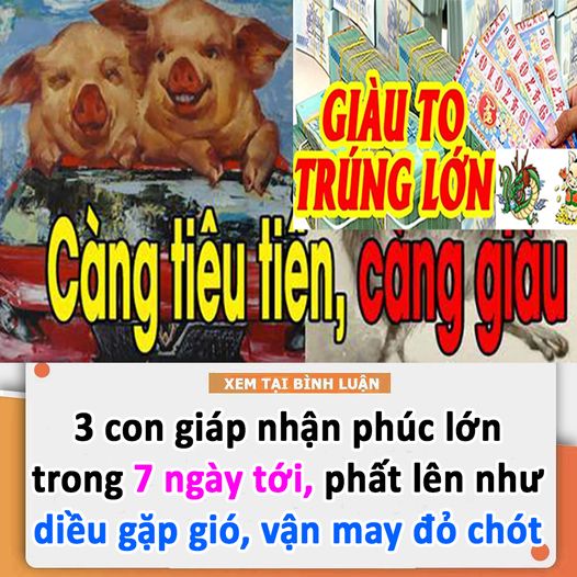 3 CON GIÁP NHẬN PHÚC LỚN TRONG 7 NGÀY TỚI, PHẤT LÊN NHƯ DIỀU GẶP GIÓ, VẬN MAY ĐỎ CHÓT