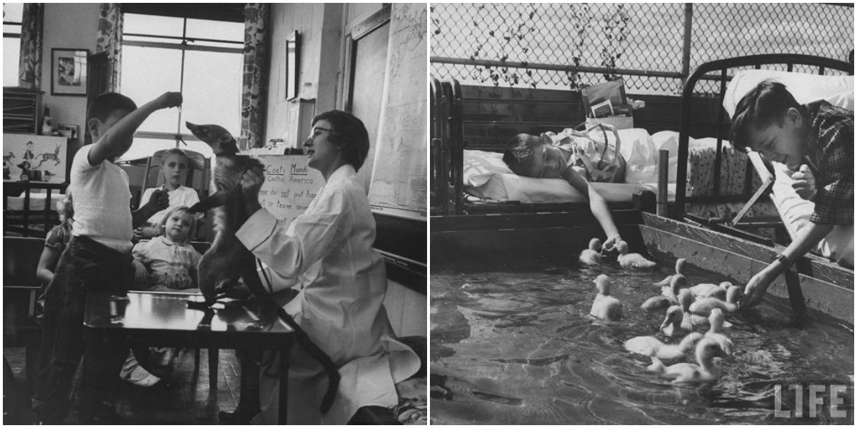 Vintage-Fotografien von Kindern und Tieren in einem Krankenhaus in Michigan, die die Therapie durch Tiere fördern