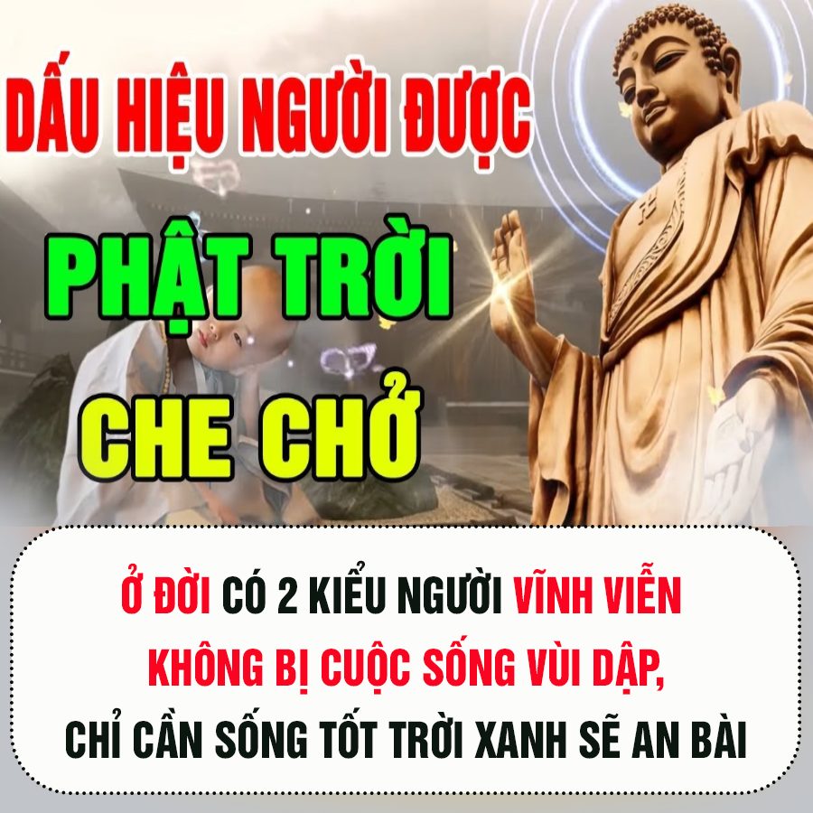 2 Kiểu Người Vĩnh Viễn Không Bị Cuộc Sống Đối Xử Tệ: Chỉ Cần Bạn Không Từ Bỏ, Trời Xanh Sẽ ”Độ”